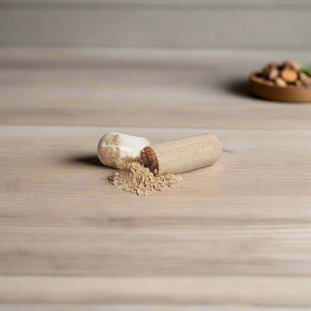 Mushroom 10 X - Nugentics
