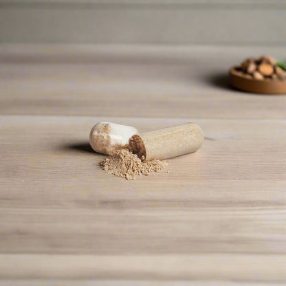 Mushroom 10 X - Nugentics